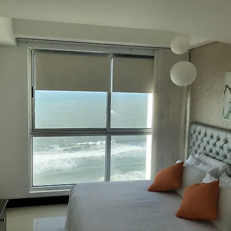 Palmetto Eliptic Bahia *