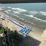 Palmetto Eliptic Bahia