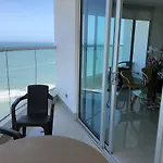 Palmetto Eliptic Bahia