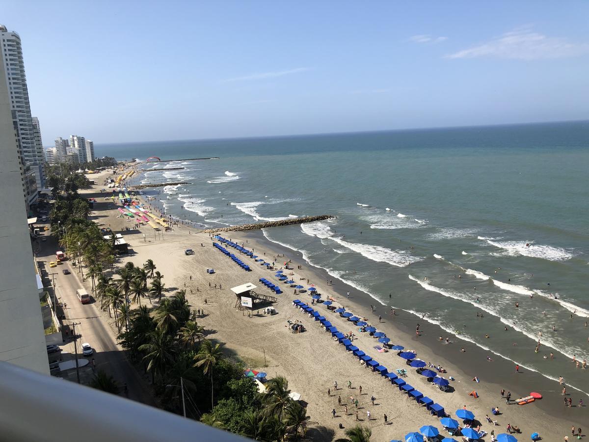 Palmetto Eliptic Bahia * Cartagena